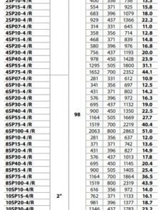 Bomba de agua sumergible de pozo City Pumps SP4 2